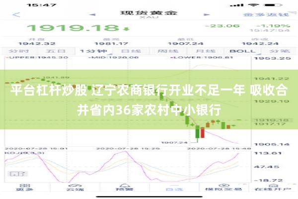 平台杠杆炒股 辽宁农商银行开业不足一年 吸收合并省内36家农村中小银行