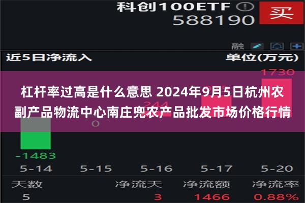 杠杆率过高是什么意思 2024年9月5日杭州农副产品物流中心南庄兜农产品批发市场价格行情