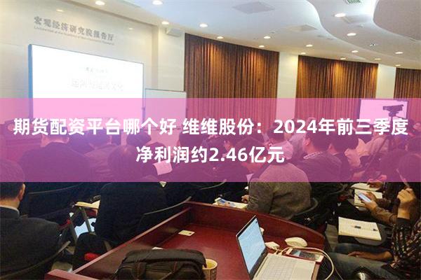 期货配资平台哪个好 维维股份：2024年前三季度净利润约2.46亿元